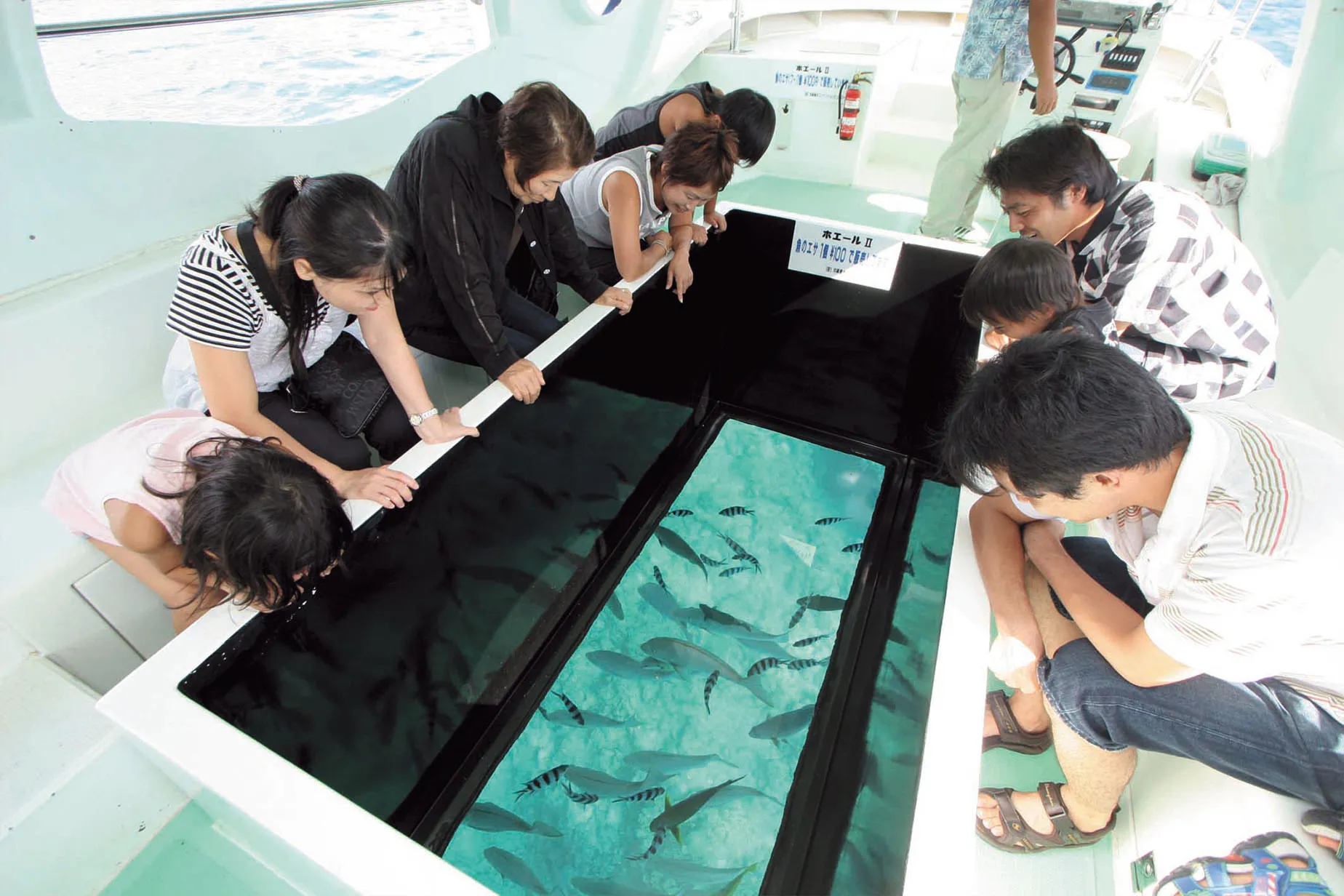 glass bottom boat tour